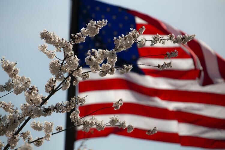 veterans day image